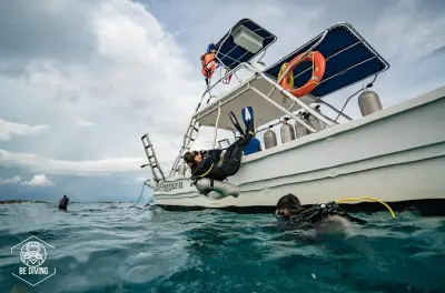 Corso subacqueo open water 3 giorni a Cozumel: Impara e conserva