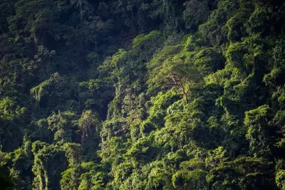 Trilha na reserva El Chocoyero El Brujo: Cachoeira e bugios