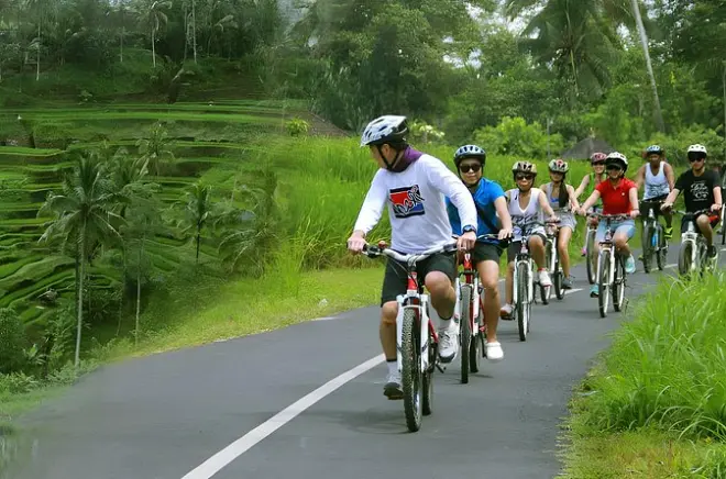 Ciclismo e Bali Swing em Kintamani: 2 horas de descida