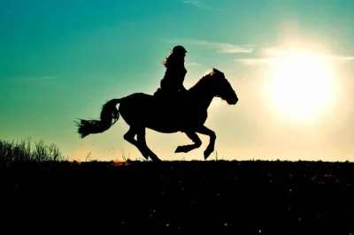 Ride horses near agadir’s national park, spot wildlife by the souss massa river, and share a berber barbecue. includes hotel pickup and local guide.