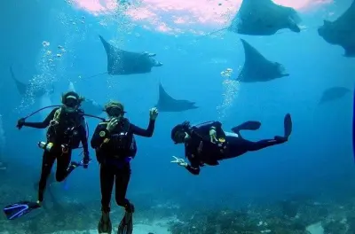 3-tägige PADI Open Water Tauchschein-Ausbildung in Sanur