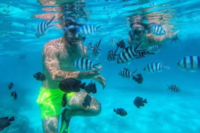Plongée avec tuba à Mnemba Island : Dauphins et récif corallien