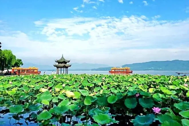 Hangzhou Privater Guide: Individuelle Englischsprachige Touren