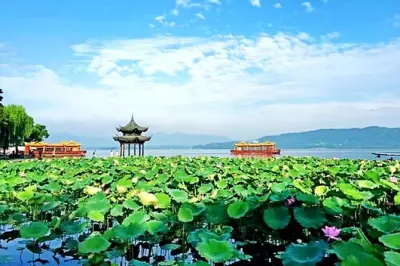 Hangzhou Privater Guide: Individuelle Englischsprachige Touren