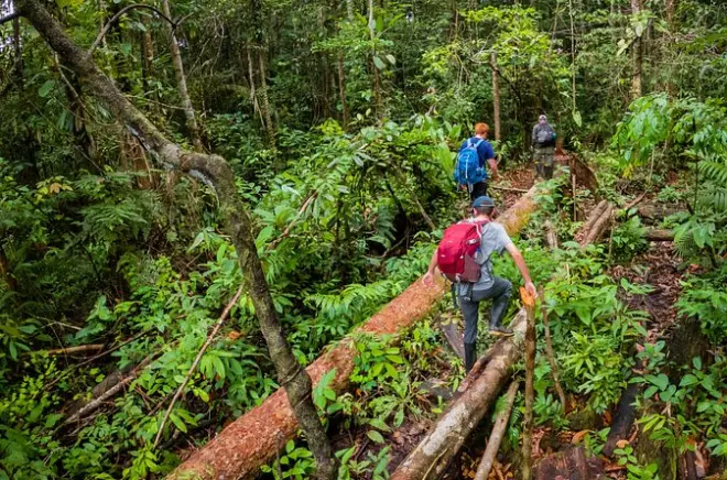 Selva de Leticia com guias indígenas e técnicas de sobrevivência