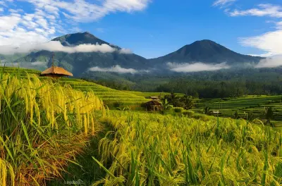 Bali ab Seminyak: Seen, Tempel und Reisterrassen