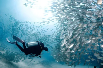 Scopri l’emozione delle prime immersioni nel mar rosso da hurghada, con due immersioni guidate, trasferimenti dall’hotel e pranzo fresco a bordo. gruppi piccoli e atmosfera rilassata.