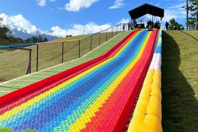 Wander boquete’s cerro la cruz ecopark with panoramic viewpoints, hanging bridges, and a mini animal farm. entry included. book your pass today.