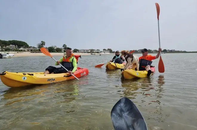 Ria Formosa: Passeio de caiaque guiado até vilarejos das ilhas