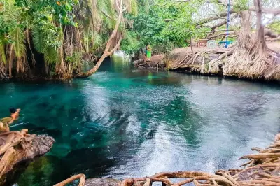 Sources chaudes de Kikuletwa depuis Arusha : Baignade et balançoire