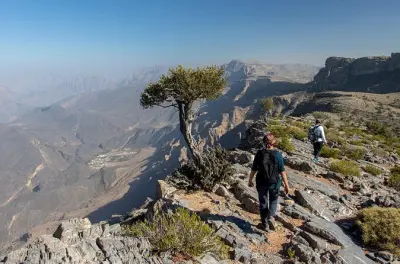Jebel Akhdar Full Day Tour from Muscat: 4x4 to the Green Mountain