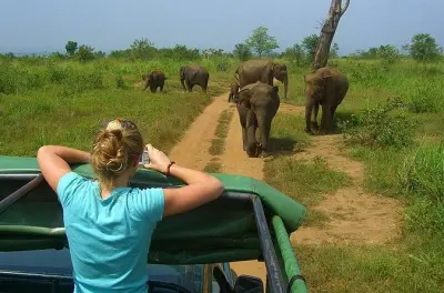 Tour de um dia a Udawalawe saindo de Colombo: Safari e barragem