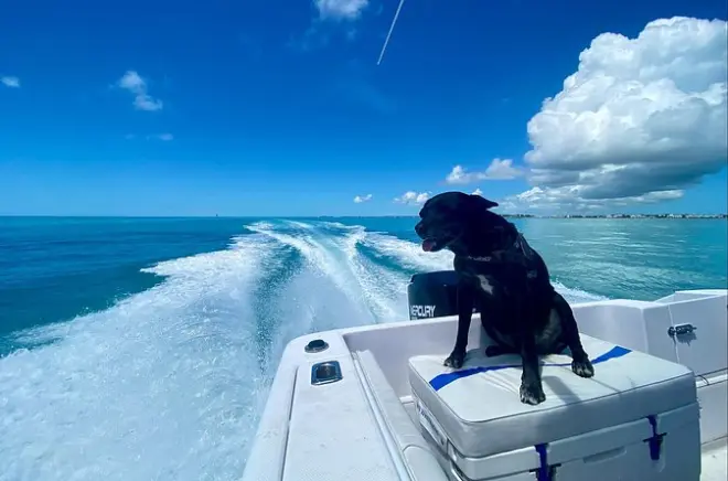 Snorkeling à Key West : Récifs coralliens et poissons tropicaux