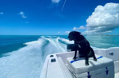 Schnorcheln in Key West: Korallenriffe und tropische Fische