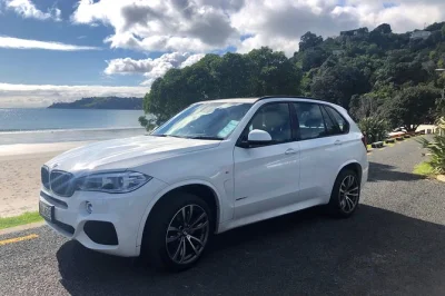 Descubra os vinhedos da ilha waiheke, conheça os produtores locais e aproveite um almoço em vinícola neste tour privado com guia especialista e traslado incluído.