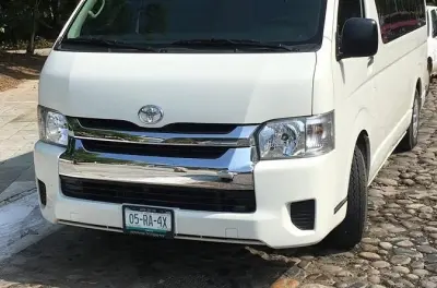 Privater Transfer vom Flughafen Ixtapa nach Troncones