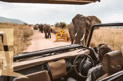 Pilanesberg Safari: 3-stündige Pirschfahrt im offenen Fahrzeug