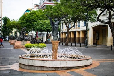 Explore guayaquil on foot—see parque de las iguanas, malecón 2000, historic plazas, and museums. local guide, lunch, and city stories included.