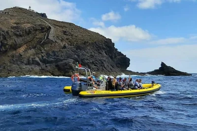 Walk the wild peninsula to madeira’s oldest lighthouse, spot rare birds, and swim at cais do sardinha. includes local guide. book now for a real adventure.