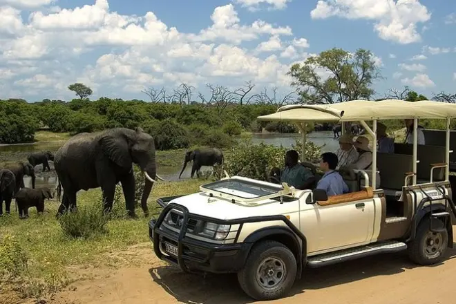 Chobe National Park day trip: River safari & game drive