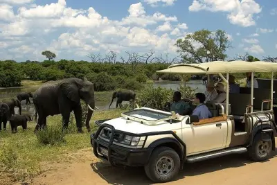 Chobe National Park day trip: River safari & game drive