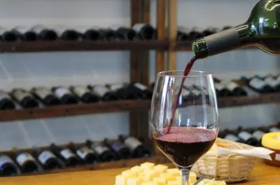 Dégustation de vins et fromages à Colonia del Sacramento : Accords locaux