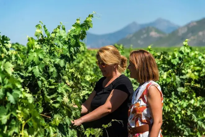 Weintour in Extremadura mit Verkostung: Einblicke in die Produktion
