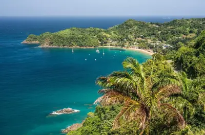 Passeio de um dia a Castara Bay saindo de Tobago: Natação e snorkel