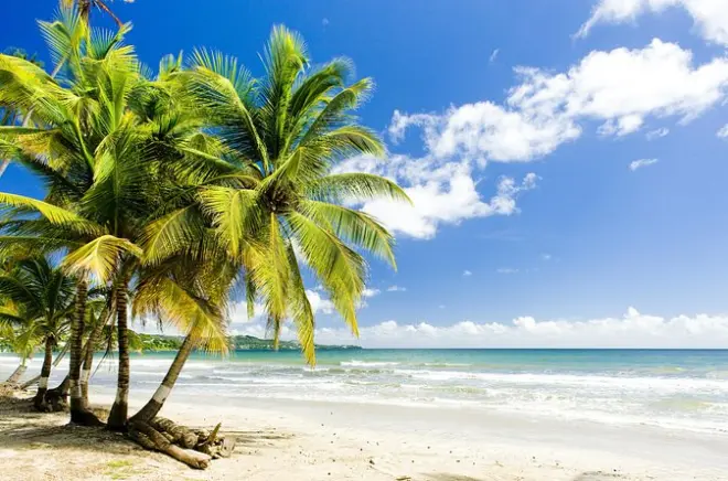 Snorkeling in Englishman's Bay, Tobago: Private Beach Day