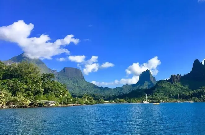 Moorea Schnorcheln: Privates Boot, Korallengärten & Meeresleben