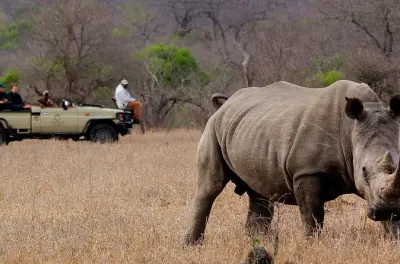 Victoria Falls rhino game drive: Stanley and Livingstone reserve
