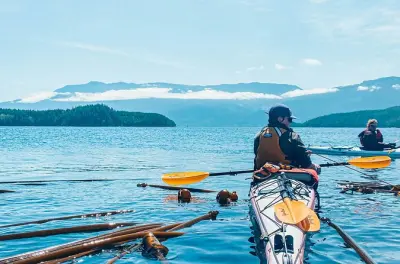 Kayak en Vancouver Island: Día completo en Johnstone Strait
