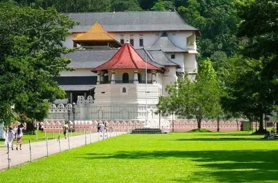Tour de um dia em Kandy: Templo do dente e plantações de chá