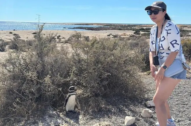 Punta Tombo e Isla Escondida: Tour de pinguins e leões-marinhos