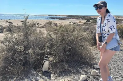 Punta Tombo e Isla Escondida: Tour de pingüinos y lobos marinos