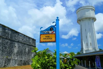See nassau’s colorful streets, climb the queen’s staircase, and visit atlantis resort with a local guide. includes port pickup and air-conditioned bus.