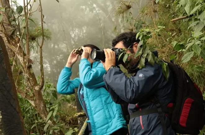 Observation d’oiseaux au parc national de Chicaque depuis Bogotá