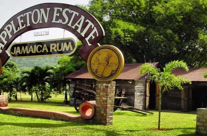 Appleton Estate Rum Tour from Runaway Bay: 10 tastings