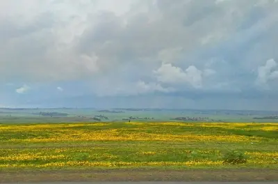 Rift Valley Seen & Tiya Stelen Tour mit privatem Guide