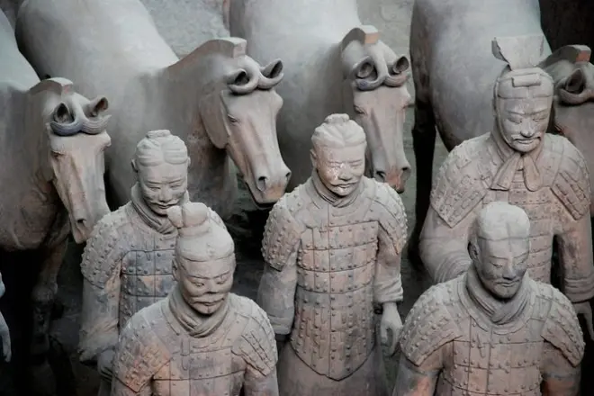 Xi'an: Tour privado con guerreros de terracota y almuerzo