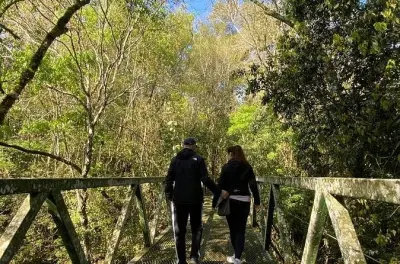 Sendero guiado de bienestar Shinrin-Yoku en Foz do Iguaçu