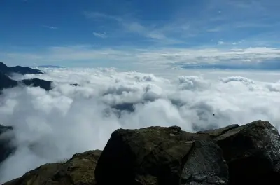 Ascenso al pico de Loro desde Cali: Caminata con almuerzo