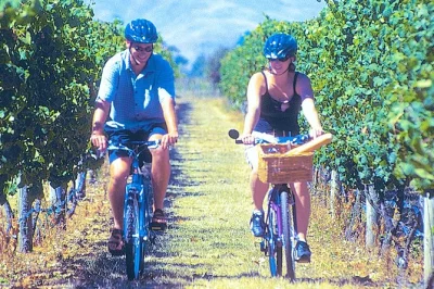 Cycle through hawke’s bay vineyards at your own pace, stopping for tastings and lunch. includes bike, helmet, map, and wine collection service. book now.