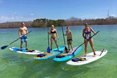 Paddle through florida keys mangrove creeks on a tandem kayak with a friend. choose your route, spot wildlife, and enjoy a relaxed day out. book now.