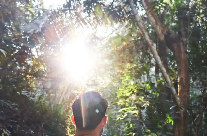 Nogalito Ecopark Hiking Adventure with Breakfast, Puerto Vallarta