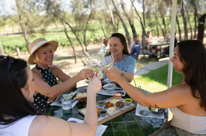Chardonnay Tasting Hunter Valley: 5 wines and estate snacks