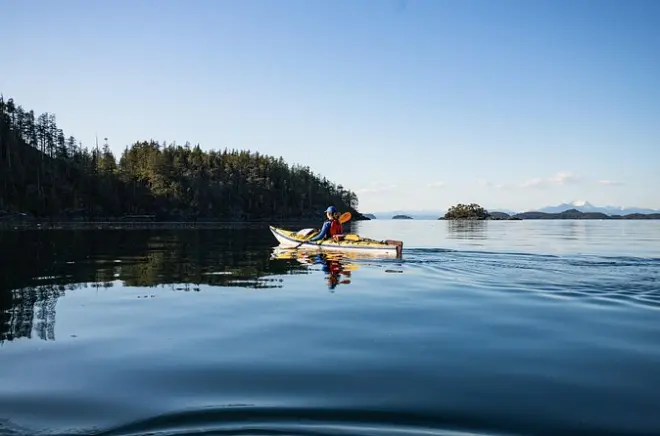 Kayaking from Telegraph Cove: 2-hour guided paddle