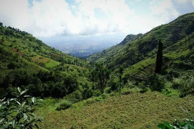 Walk through morogoro’s villages and forests to choma waterfall in the uluguru mountains with a local guide. includes bottled water and environmental fee.