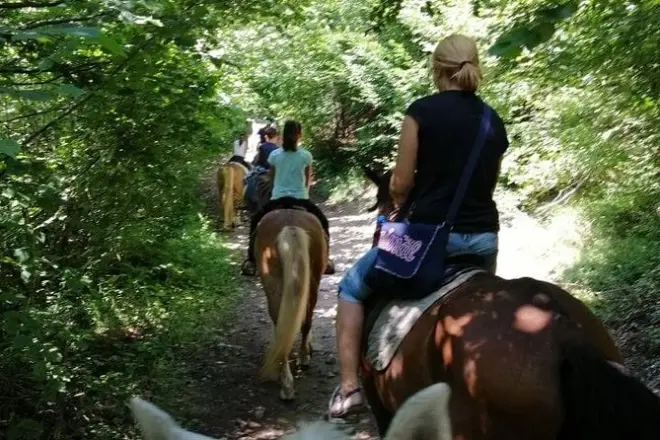 Pferdereiten in Smolyan: Rhodopen-Wanderwege