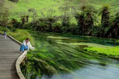 Waitomo Glowworm Caves, Kiwi House et Blue Springs depuis Hamilton